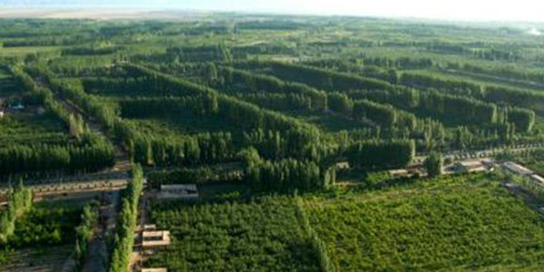 全国春季造林4742.97万亩