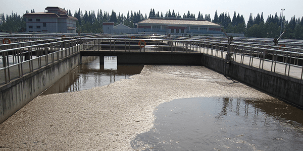 废水脱氮三大要素你知道吗