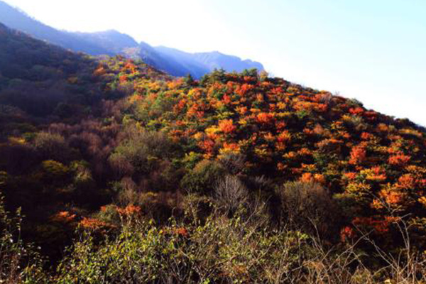 秦岭区域