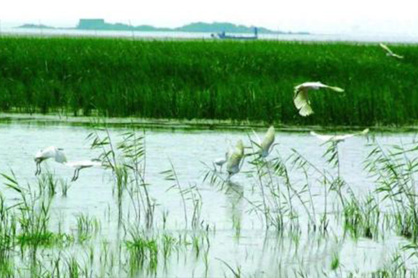 东平湖