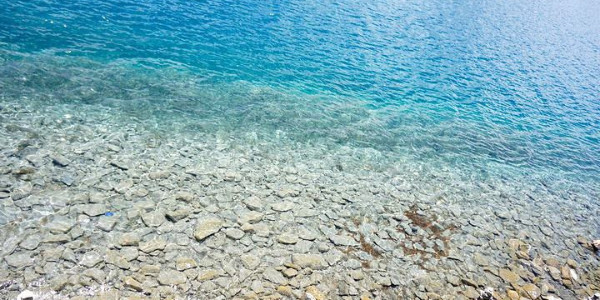 什么叫石灰软化法?其出水水质是怎样的?
