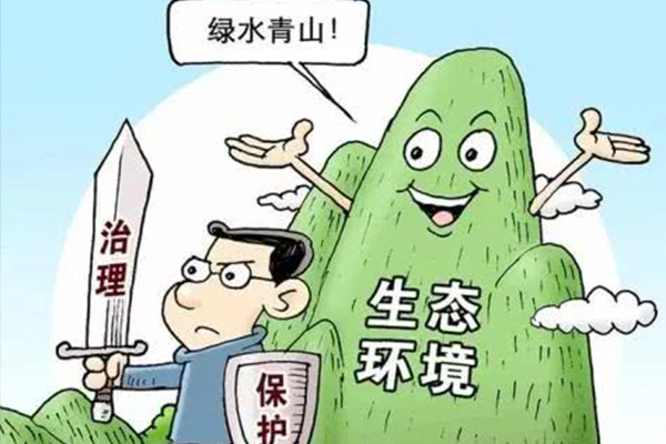 环境资源案件